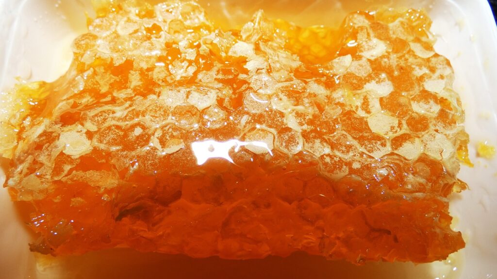 honey comb, honey, bee honey, orange honey, orange bee, honey comb, honey comb, honey comb, honey comb, honey comb