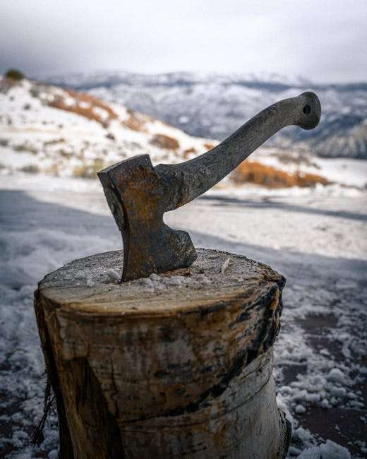 A weathered axe lodged in a tree stump against a snowy mountainous backdrop.