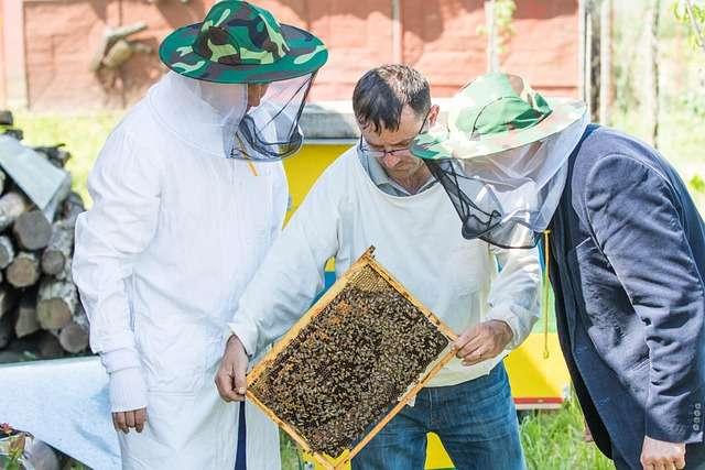 Several upcoming workshops and events related to bees are scheduled throughout 2025, including hands-on courses, conferences, festivals, and online educational opportunities.
