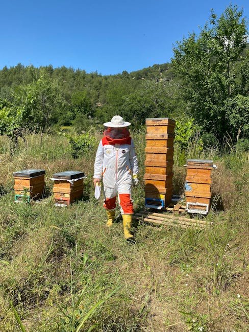 A beekeeper in protective gear attending beehives in the Turkish countryside under a bright blue sky.