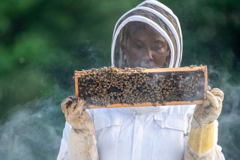 A beekeeper in protective gear inspects a bee-filled honeycomb outdoors in summer.