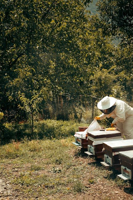 A beekeeper tending beehives in a sunny orchard setting, showcasing sustainable agriculture.